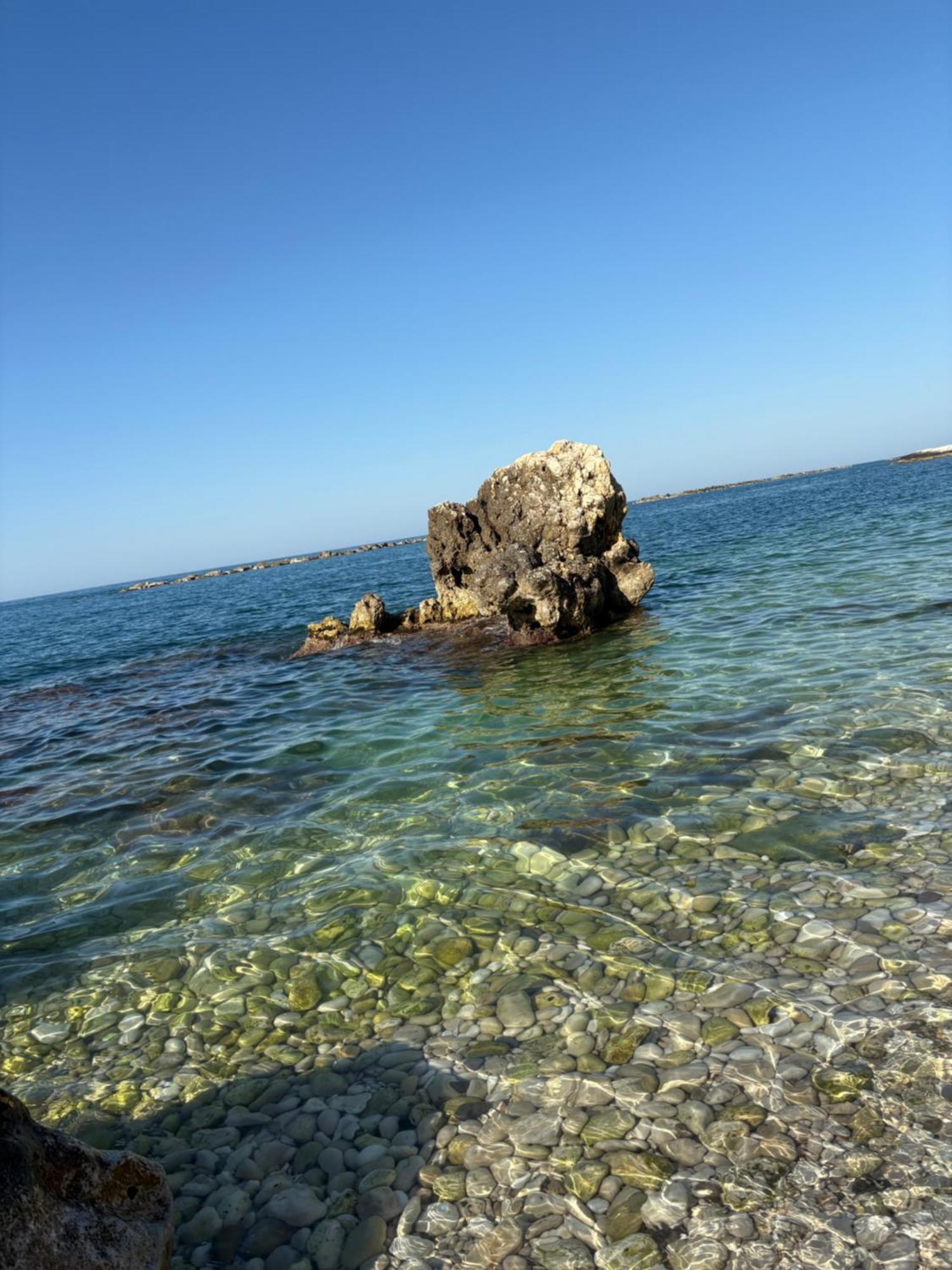 Sole House Apartment Bisceglie Bagian luar foto