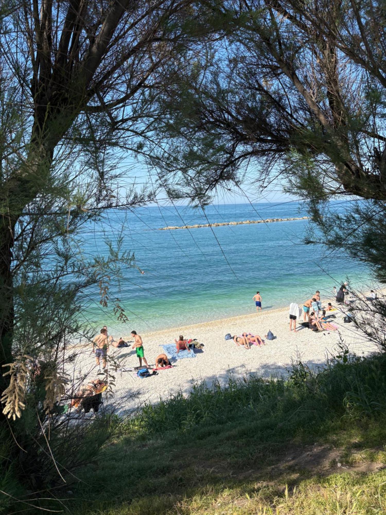 Sole House Apartment Bisceglie Bagian luar foto